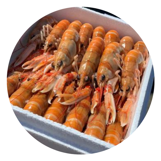 （Saturday Delivery）Langoustines 1kg