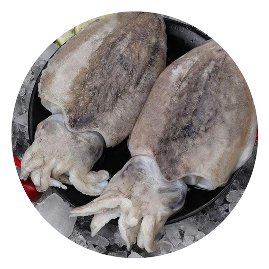 （Saturday Delivery）whole Cuttlefish 1kg